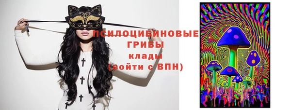 сатива Иннополис
