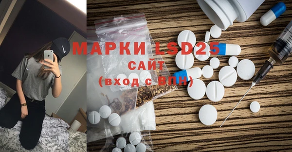 сатива Иннополис