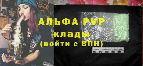 сатива Иннополис