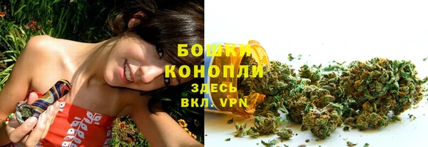сатива Иннополис