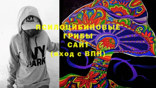 сатива Иннополис