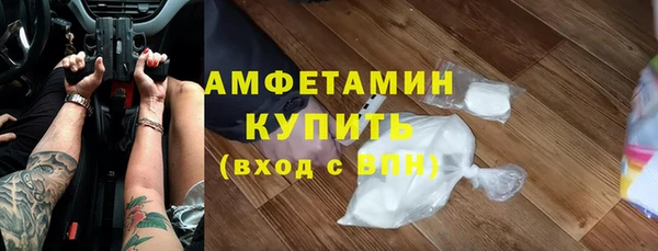 сатива Иннополис