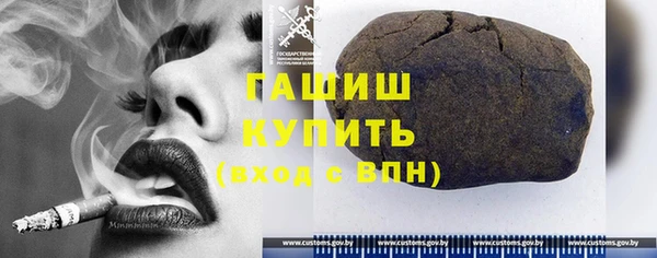 сатива Иннополис