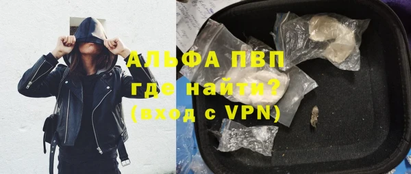 сатива Иннополис