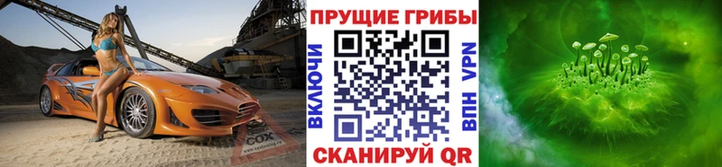 Купить закладки  Игра  Псилоцибиновые грибы ЛСД 